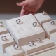 Expositores para alianças: transforme sua vitrine em uma experiência memorável