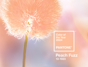 Descubra a Beleza Sutil de Peach Fuzz, a Cor do  Ano 2024!